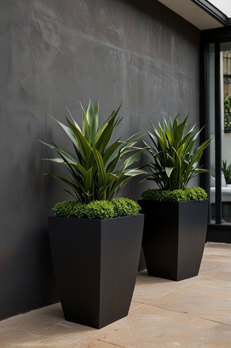 11 Minimalist Black Tall Planters That Add Instant Sophistication